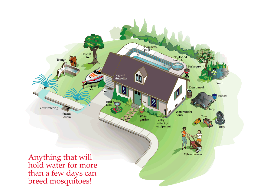 Be Mosquito Free Graphic 2