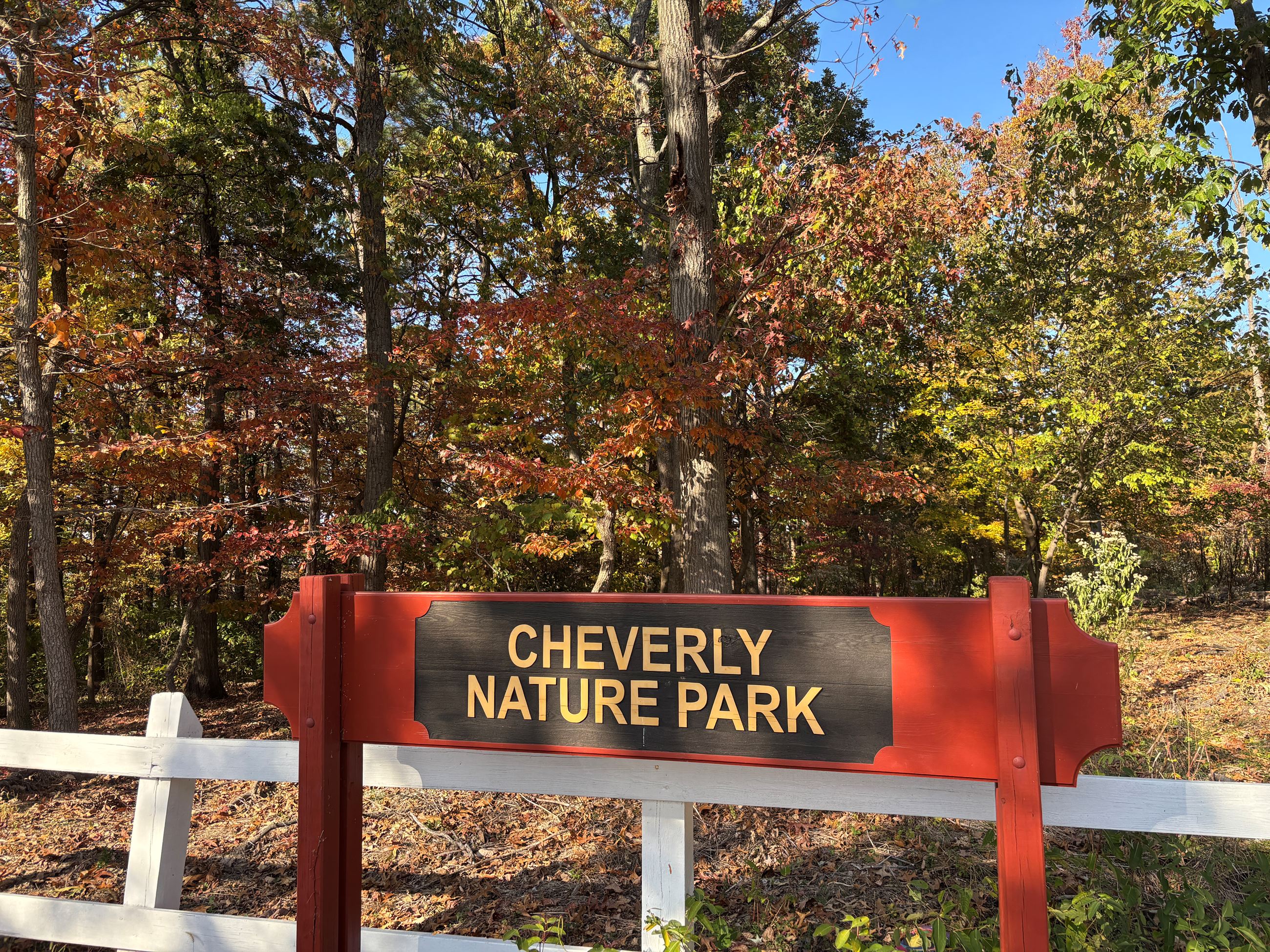 20251027_191206831_iOS